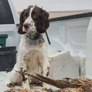 Meet your Posher, Debra